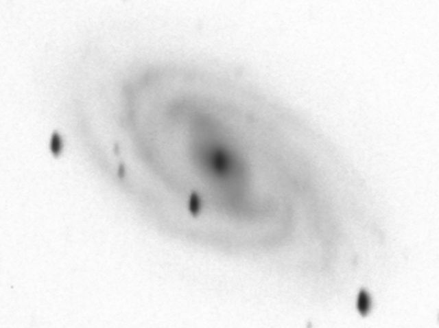 NGC 3992.jpg